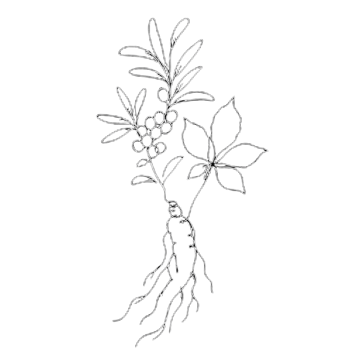 Botanical watermark